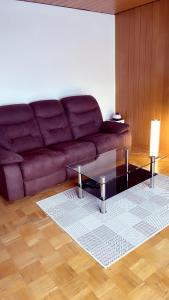 NiedensteinFamilienhaus的客厅配有沙发和桌子