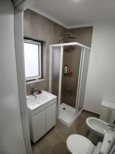 波塔莱格雷Apartment in Semeador的带淋浴、盥洗盆和卫生间的浴室