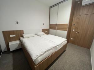 采列Diamant apartment pri sejmu MOS的一间卧室配有一张床和一面大镜子