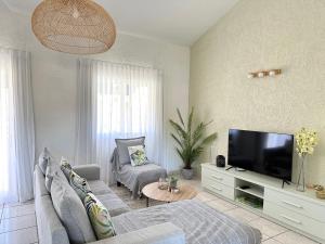 弗利康弗拉克Azur - Résidence Le Dattier的带沙发和平面电视的客厅