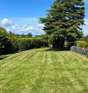 戈尔韦Hillcrest Lodge, Private apartment on Lough Corrib, Oughterard的一个大草地庭院,有树和石墙