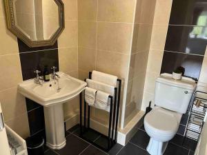 戈尔韦Hillcrest Lodge, Private apartment on Lough Corrib, Oughterard的浴室配有白色卫生间和盥洗盆。