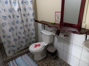 德雷克Bella Vista Corcovado的一间带卫生间、水槽和镜子的浴室