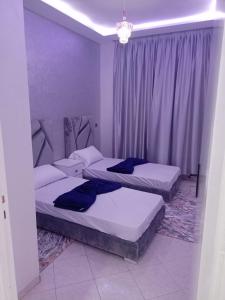 阿加迪尔أكادير حي السلام的紫色墙壁和窗帘间内的两张床