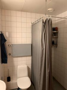 赫尔辛基Spacious Apartment Next to Metro, Beach, Shopping Centre的一间带卫生间和淋浴帘的浴室