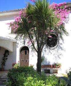 卡萨尔博迪诺伊尔特雷莫拉德拉玛莉娜酒店的棕榈树在一座粉红色花的建筑前