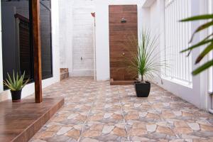 曼塔Habitaciones privadas, Casa de Amber, Manta的地板上带盆栽的走廊