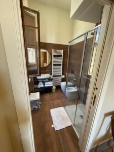 比萨Villa Natalina B&B的一间带玻璃淋浴和卫生间的浴室