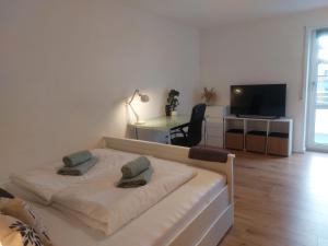 乌尔姆Rooftop Apartments - Doppelzimmer Deluxe in Gemeinschaftsunterkunft Weinberg R3的一间卧室配有一张床、一张书桌和一台电视