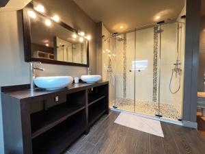 勒芒La Villa Maignan - Centre ville - Jardin - 15p的一间带两个盥洗盆和淋浴的浴室