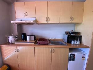 苏瓦Island Travelers Accommodation的一间带水槽和微波炉的小厨房