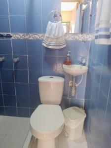 亚美尼亚Hospedaje Hermanos Cardona的蓝色瓷砖浴室设有卫生间和水槽
