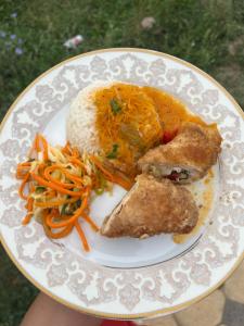 博孔巴耶沃Bosogo Yurt camp的饭,肉和胡萝卜的盘子