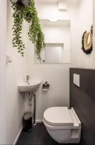 阿姆斯特丹Cozy 2-bedroom apartment的浴室配有白色卫生间和盥洗盆。