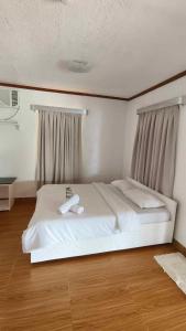 博洛德Amanzara Bohol Resort的窗户客房内的一张白色床