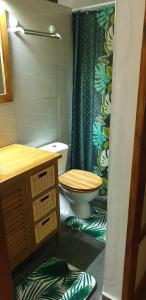 乌图罗阿Ohana RBNB studio "Havai "的浴室设有卫生间和绿色淋浴帘。