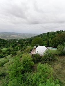 伊斯梅尔雷Glamping Dream Domes Ismayilli的一座大白圆顶建筑,位于山丘上,树木繁茂