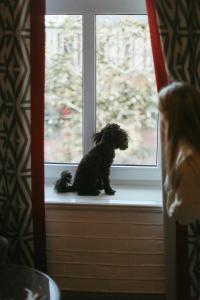利耶帕亚Art Hotel Roma的一只小黑狗坐在窗台上