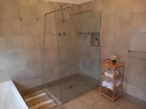 科尔斯伯格7 On Grey Guesthouse的带淋浴的浴室和玻璃门