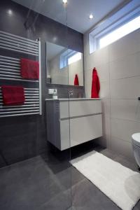 博克斯特尔Boxtel, Appartement (1-4p) nabij station/centrum的一间带水槽、卫生间和镜子的浴室