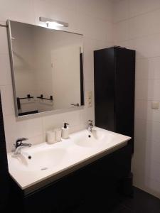 雅莱L'appartement du CPW的浴室设有白色水槽和镜子