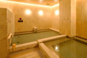 东京Tosei Hotel Cocone Tsukiji Ginza Premier的一间室内浴室,内有水池