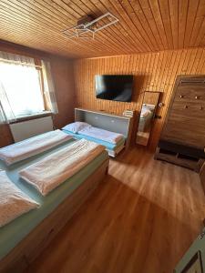 滨湖伦茨Tina a Petr , Lunz am See的一间卧室配有两张床和电视。