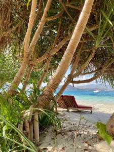 吉利阿萨汉Amahelia Luxury Resort & Restaurant - Gili Asahan的海滩上棕榈树下的椅子