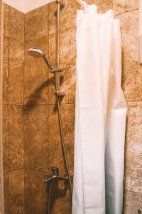DobravljeHoliday Home GaMaJaMa的浴室内配有白色淋浴帘。