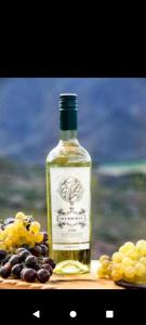 卡奇Cabaña Abra del Monte Monohambiente的一瓶葡萄酒坐在一捆葡萄旁边