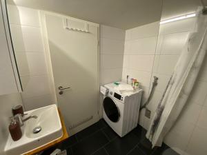 普福尔茨海姆Mini Apartment mit Bad und Küche的一间带水槽和洗衣机的浴室