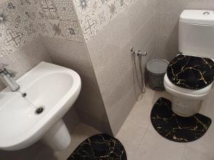 突尼斯Grand appart. Carthage Salammbô的浴室配有白色水槽和卫生间。
