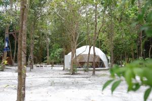 PasarbaruAshamaya Belitung (Dome Glamping Site)的森林中间的帐篷