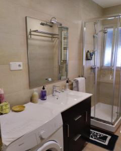 马德里Habitación luminosas en Vista Alegre的一间带水槽和淋浴的浴室