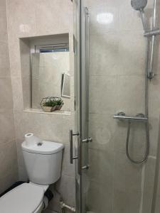 伦敦One Bedroom Apartment with Garden的一间带卫生间和玻璃淋浴间的浴室
