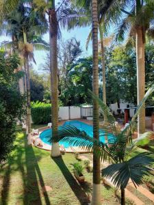 伊瓜苏Hotel Castelo Branco的庭院内棕榈树游泳池