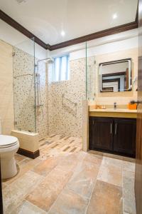 欧丘里欧Sago Palm Hotel的带淋浴、卫生间和盥洗盆的浴室