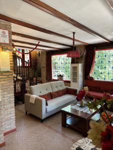 阿罗约弗里奥Casa Rural Ermita Santa Maria de la Sierra的客厅配有沙发和桌子