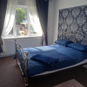 卡斯尔福德Jolly Piece的一间卧室配有一张带蓝色床单的床和一扇窗户。