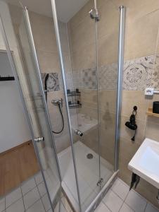 萨尔布吕肯Ferienwohnung Mila, Scheidt的浴室里设有玻璃门淋浴