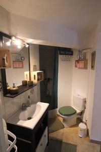 索沃泰尔joli studio indépendant avec kitchenette的一间带卫生间和水槽的小浴室