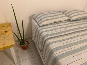 大坎皮纳Flat próximo ao Centro de CG com Wifi rápida的一间卧室配有一张带枕头和植物的床