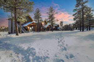 肖洛Scenic Luxury Villa!的雪地中的小屋,雪地中留下脚印