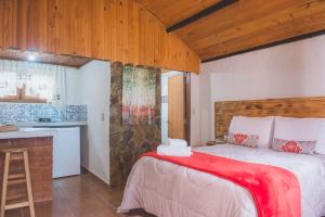 蒙特韦尔迪Chales Boa Vista的一间卧室配有一张床铺,床上铺有红色毯子