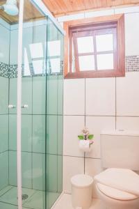 蒙特韦尔迪Chales Boa Vista的一间带卫生间和玻璃淋浴间的浴室