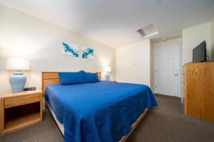 林肯市Waters Edge 402的一间卧室配有蓝色的床和电视