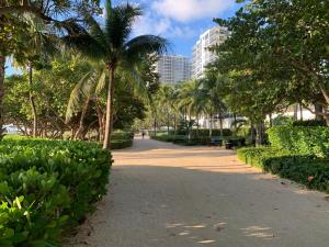 迈阿密Biscayne Garden's Studio的棕榈树公园和人行道