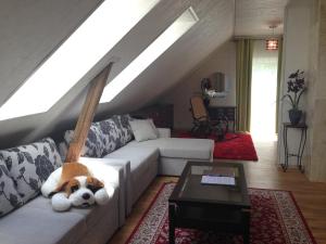 派尔努拥抱公寓 的客厅里设有一张沙发,上面放着一只狗
