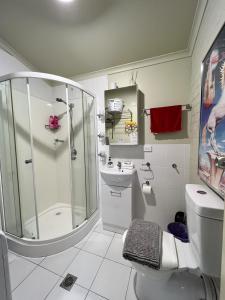 阿米代尔西区公寓的带淋浴、卫生间和盥洗盆的浴室