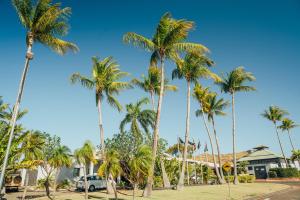 卡拉萨卡拉萨国际大酒店的街上的一群棕榈树